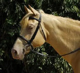 Windsor Plain Bridle - Birdham Animal Feeds