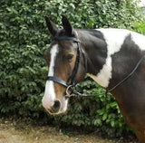 Windsor Plain Hunter Bridle - Birdham Animal Feeds