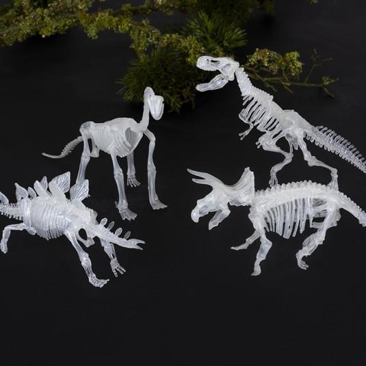 Glow in the Dark Dinosaur Skeleton Kit - Birdham Animal Feeds