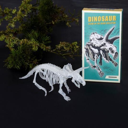 Glow in the Dark Dinosaur Skeleton Kit - Birdham Animal Feeds