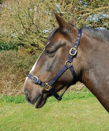 Rhinegold Nylon Headcollar - Birdham Animal Feeds
