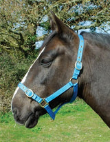 Rhinegold Nylon Headcollar - Birdham Animal Feeds