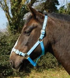Rhinegold Nylon Headcollar - Birdham Animal Feeds