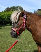 Rhinegold Unicorn Headcollar and Rope Set - Birdham Animal Feeds