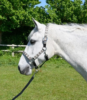 Rhinegold Aztec Headcollar and Rope Set - Birdham Animal Feeds