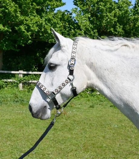 Rhinegold Aztec Headcollar and Rope Set - Birdham Animal Feeds