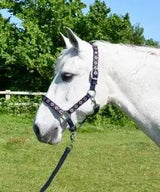 Rhinegold Aztec Headcollar and Rope Set - Birdham Animal Feeds