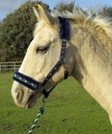 Rhinegold Crystal Star Headcollar & Rope Set - Birdham Animal Feeds
