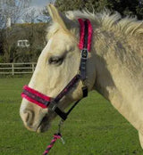 Rhinegold Crystal Star Headcollar & Rope Set - Birdham Animal Feeds