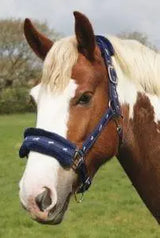 Rhinegold Padded Headcollar with Fleece Trim - Birdham Animal Feeds