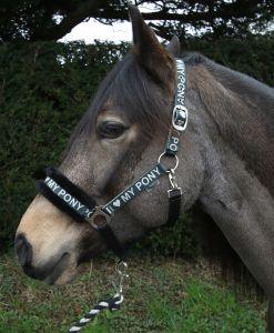 Rhinegold Love My Pony Headcollar & Rope Set - Birdham Animal Feeds