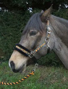 Rhinegold Love My Pony Headcollar & Rope Set - Birdham Animal Feeds