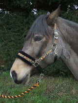 Rhinegold Love My Pony Headcollar & Rope Set - Birdham Animal Feeds