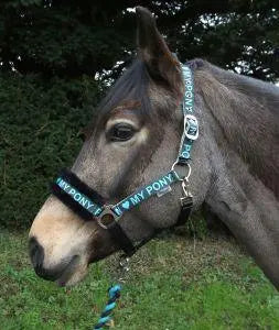 Rhinegold Love My Pony Headcollar & Rope Set - Birdham Animal Feeds