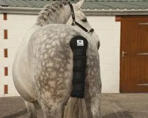 Rhinegold Cotton Tailguard - Birdham Animal Feeds