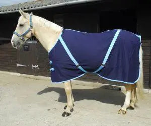 Rhinegold Summer Sheet - Birdham Animal Feeds