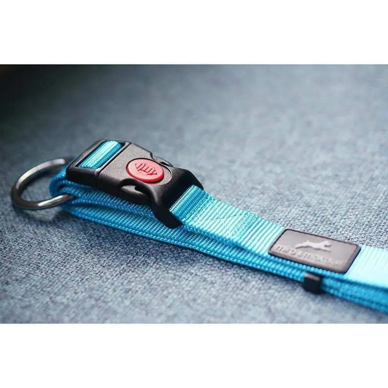 Miro and Makauri Belay Nylon Safety Collar  - Birdham Animal Feeds