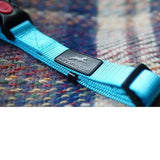 Miro and Makauri Belay Nylon Safety Collar  - Birdham Animal Feeds