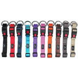 Miro and Makauri Belay Nylon Safety Collar  - Birdham Animal Feeds
