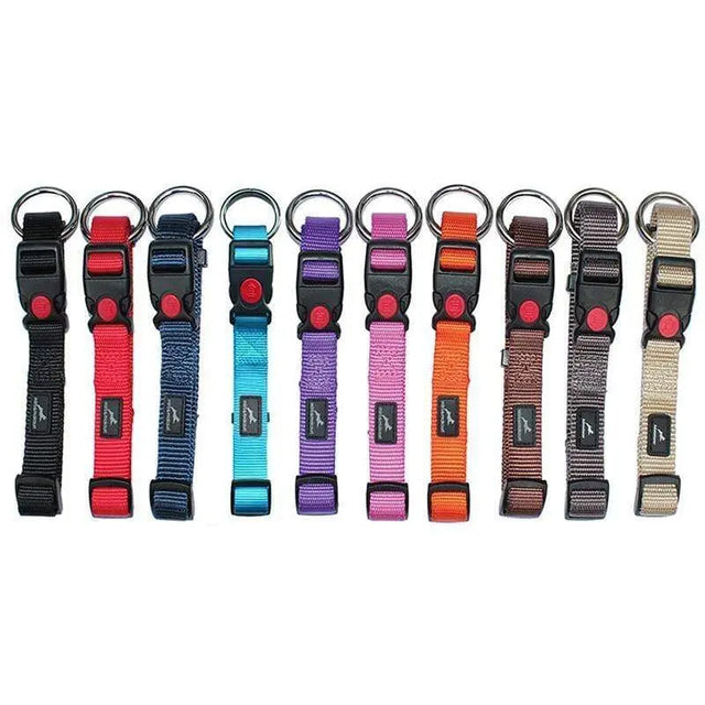 Miro and Makauri Belay Nylon Safety Collar  - Birdham Animal Feeds