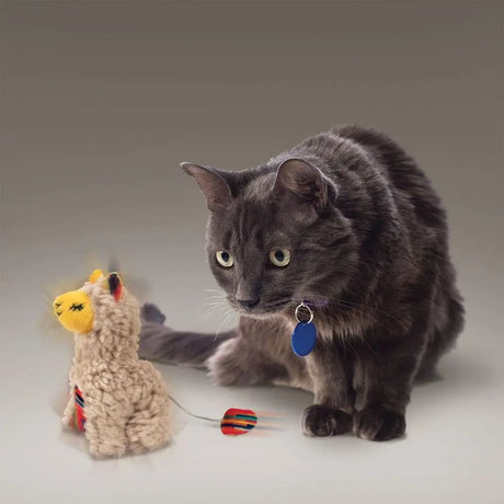 Kong Cat Softies Buzzy Llama Toy  - Birdham Animal Feeds