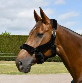 Rhinegold Fur Trim Headcollar - Birdham Animal Feeds