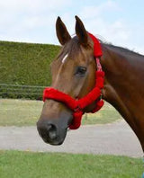 Rhinegold Fur Trim Headcollar - Birdham Animal Feeds