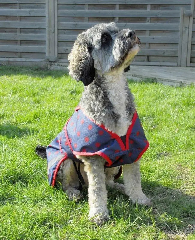 Rhinegold Highland Dog Coat - Birdham Animal Feeds