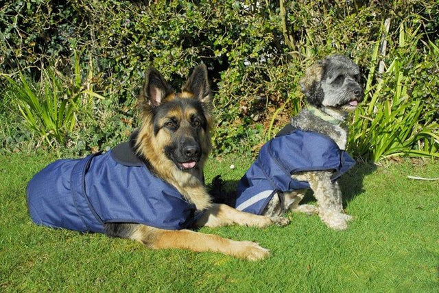 Rhinegold Highland Dog Coat - Birdham Animal Feeds