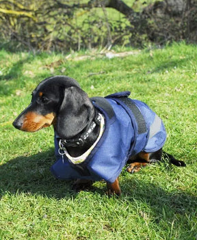 Rhinegold Highland Dog Coat - Birdham Animal Feeds