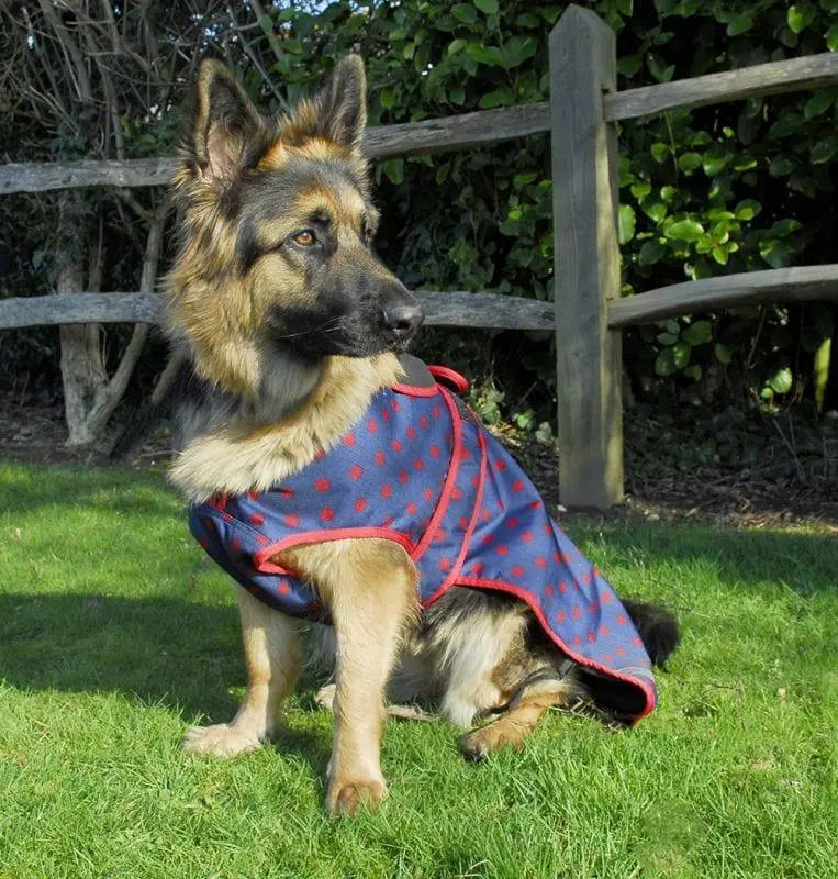 Rhinegold Highland Dog Coat - Birdham Animal Feeds