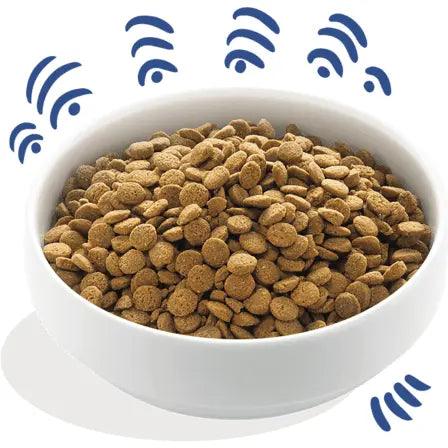 Edgard Cooper Salmon Dog Food - Birdham Animal Feeds