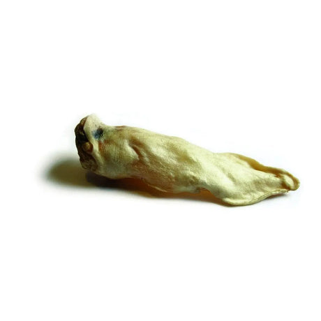 Goat Ears Single  - Birdham Animal Feeds