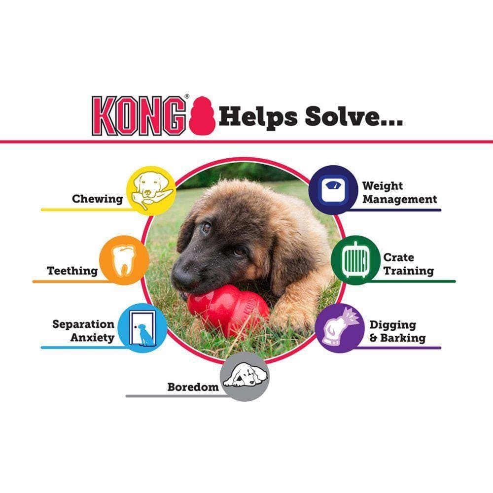 Kong Puppy  - Birdham Animal Feeds