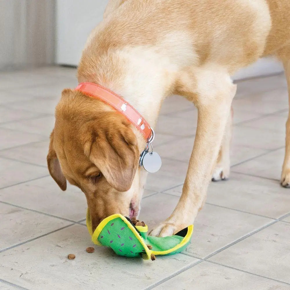 Kong Ballistic Hide N Treat Dispenser Toy  - Birdham Animal Feeds