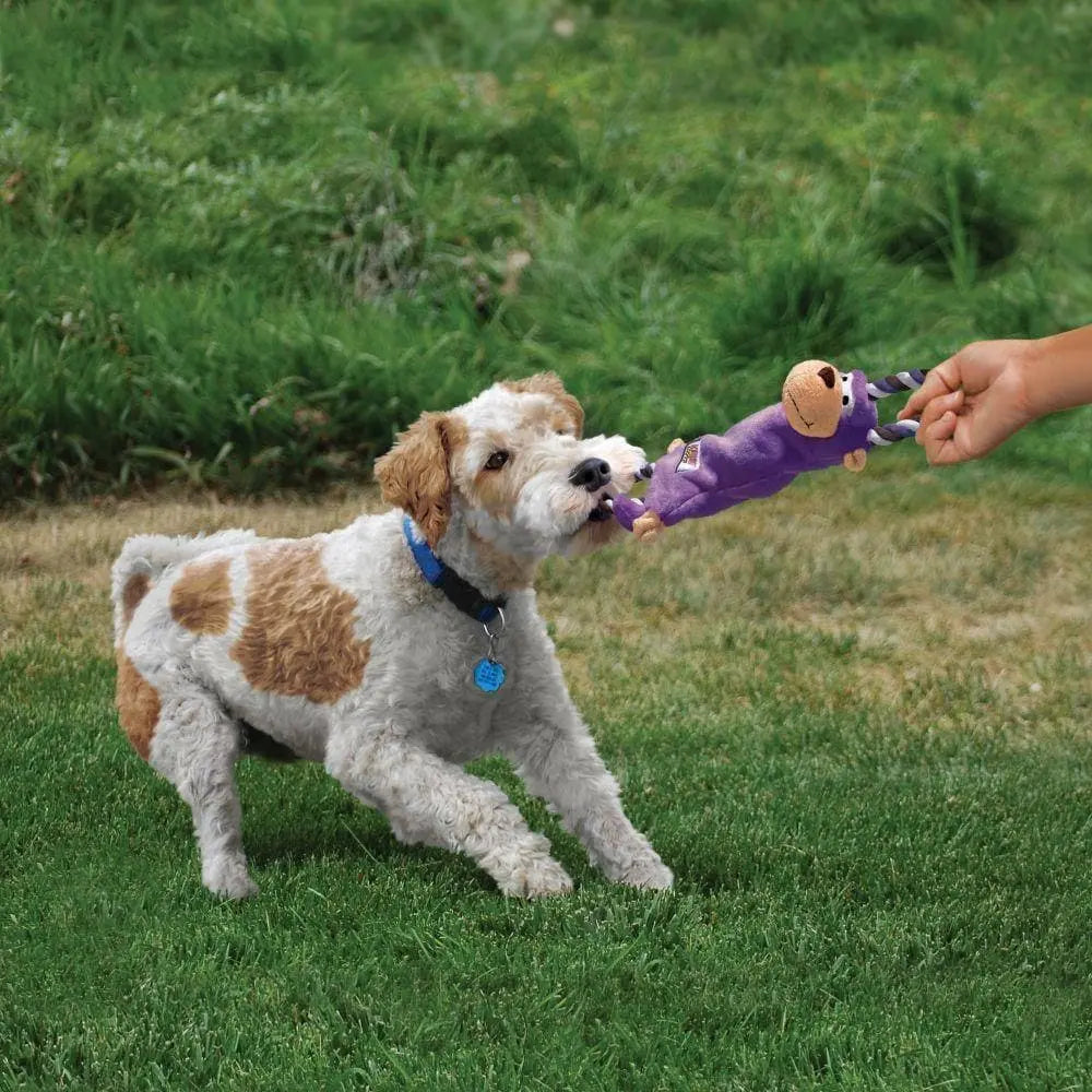 Kong Tugger Knots Frog Dog Toy  - Birdham Animal Feeds