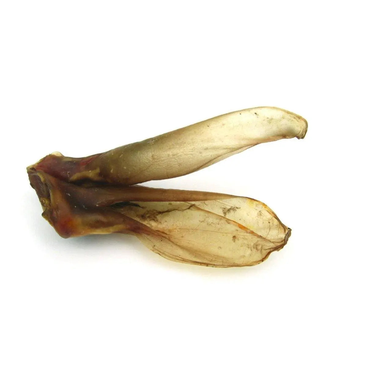 Rabbit Ears Single  - Birdham Animal Feeds
