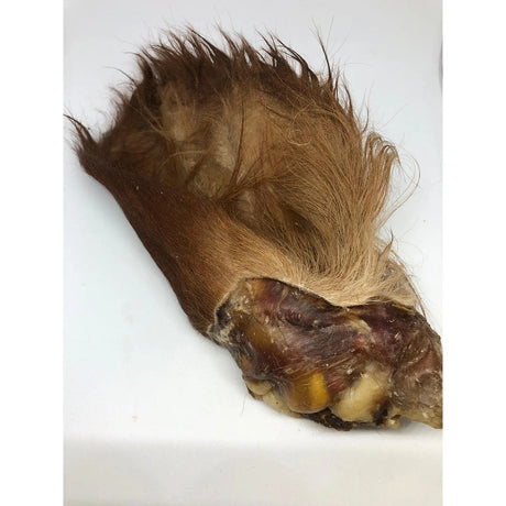 Cow Ears with Hair Single  - Birdham Animal Feeds