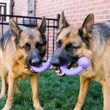 Kong Ogee Dog Toy - Birdham Animal Feeds