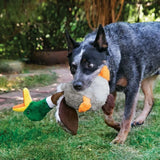 Kong Shakers Honkers Duck Dog Toy  - Birdham Animal Feeds