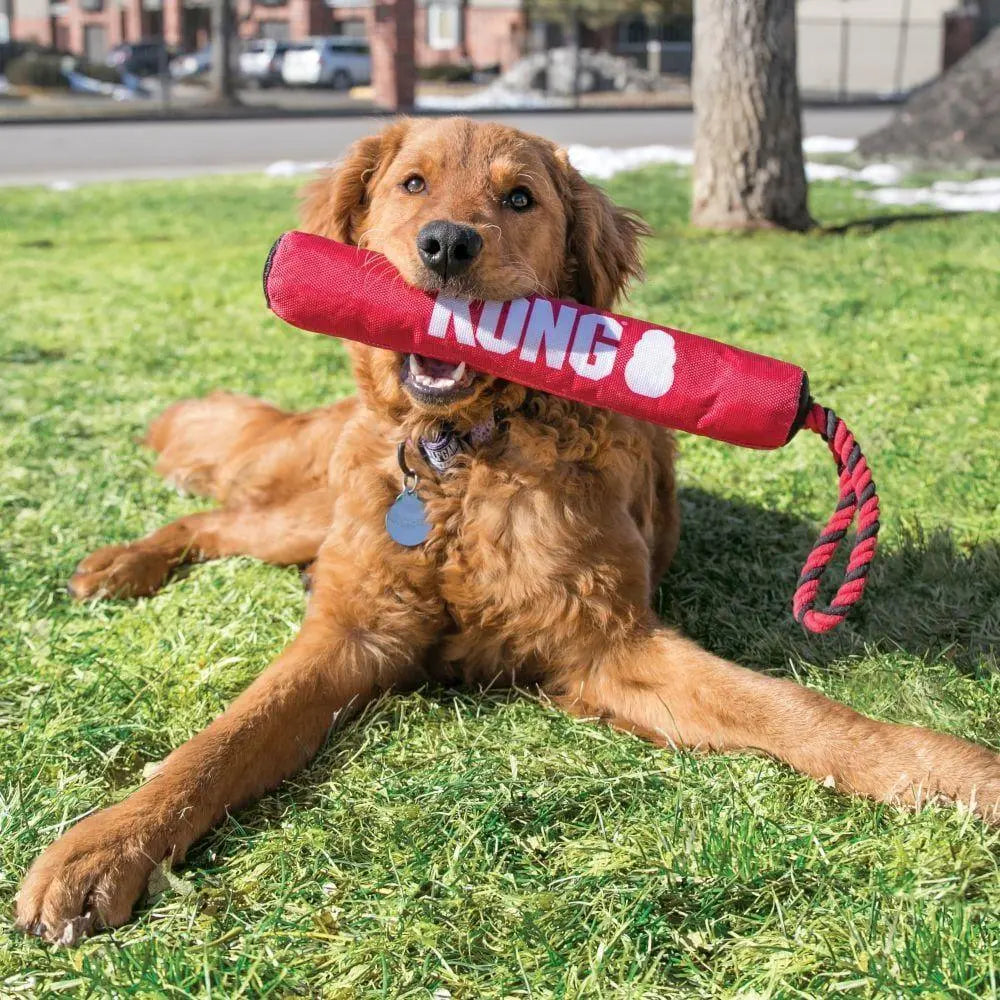 Kong Signature Stick with Rope - Birdham Animal Feeds
