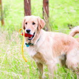 Kong Classic with Rope  - Birdham Animal Feeds