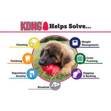 Kong Classic  - Birdham Animal Feeds