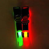 Miro and Makauri LED Flashing Collar  - Birdham Animal Feeds