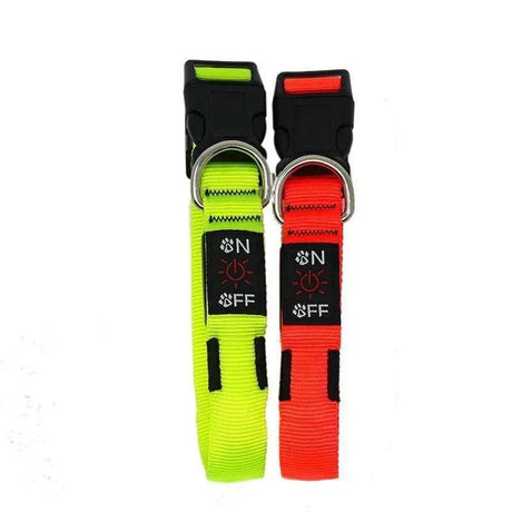 Miro and Makauri LED Flashing Collar  - Birdham Animal Feeds