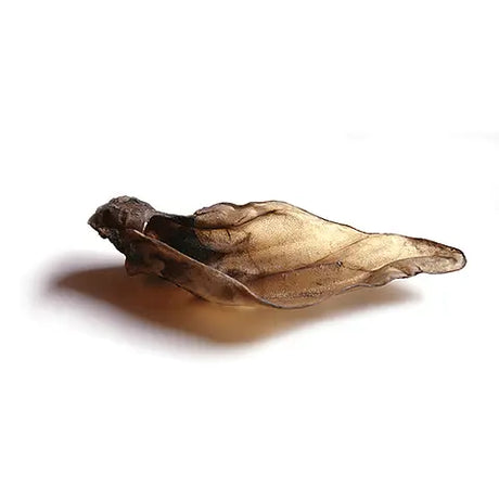 Cows Ear  - Birdham Animal Feeds