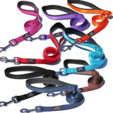 Miro and Makauri Nylon Dog Lead  - Birdham Animal Feeds