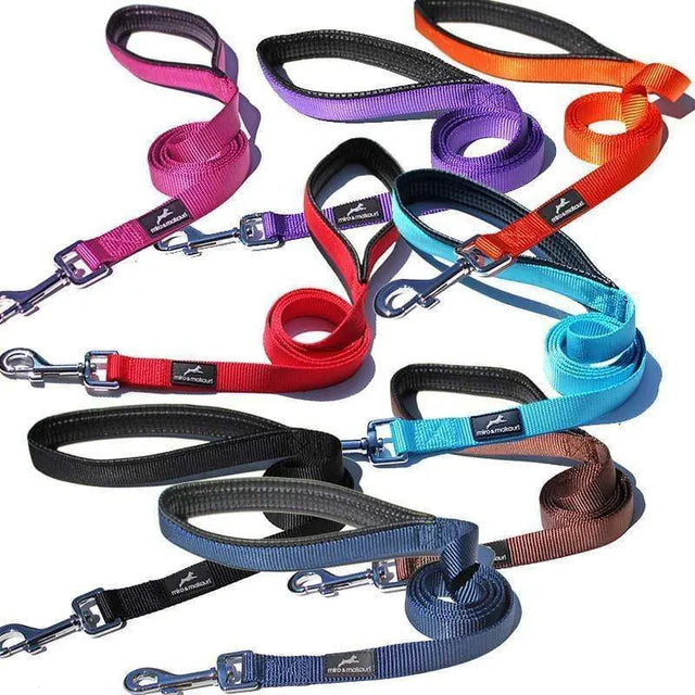 Miro and Makauri Nylon Dog Lead  - Birdham Animal Feeds