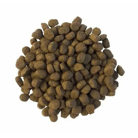Mr Johnsons Wildlife Hedgehog Food 750g  - Birdham Animal Feeds