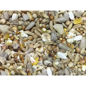 Premium Wild Bird Food 1kg - Birdham Animal Feeds